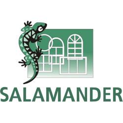 salamander